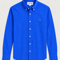 Camisa Lacoste Azul Rey vista frontal